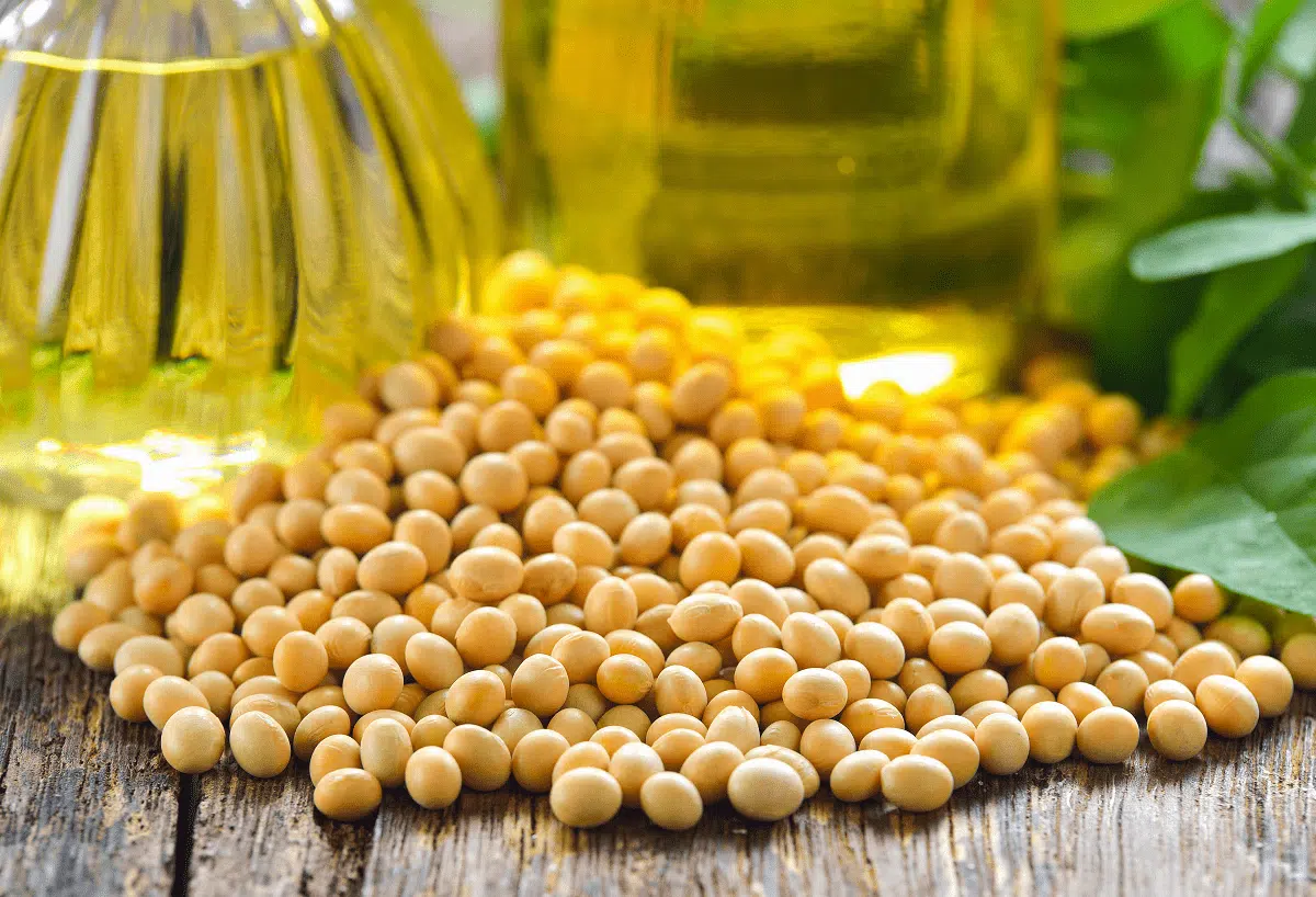 روغن خام سویا